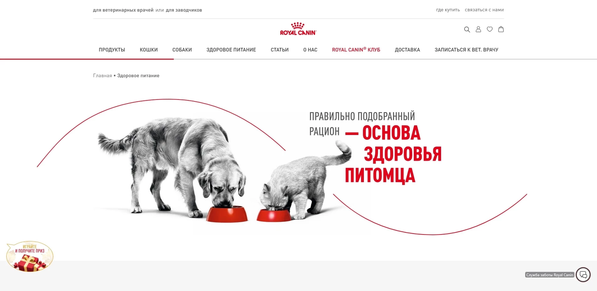 промокоды роял канин