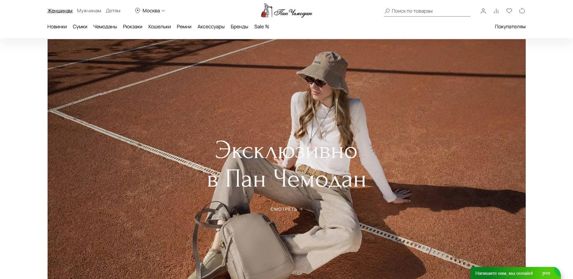 Пан Чемодан